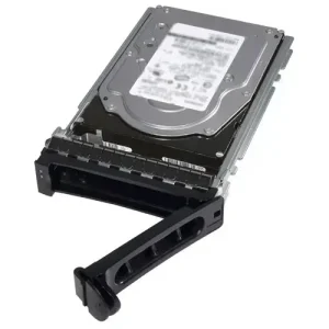 Additional Hard Drive (HDD) -4TB Near Line SAS 7.2K RPM 12Gbps